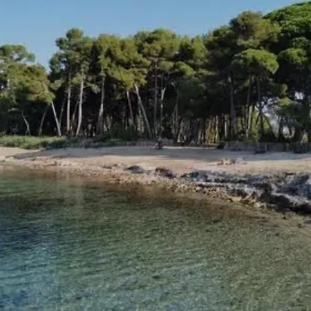 Apartman Cozy Proche De La *